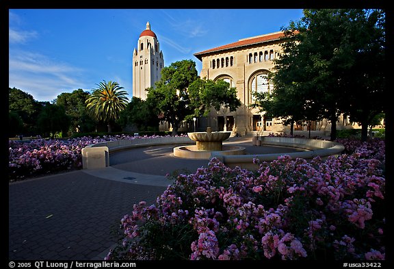 Bing Wing of Green Library and Hoover Tower,  late afternoon. Stanford University, California, USA (color)