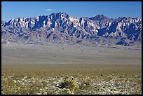 Providence Mountains. Mojave National Preserve, California, USA