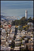 View from above of Telegraph Hill and Coit Tower, late afteroon. San Francisco, California, USA (color)