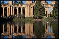 Colonades and reflection, Palace of Fine Arts, morning. San Francisco, California, USA (color)