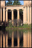 Colons and reflection, Palace of Fine Arts, morning. San Francisco, California, USA (color)