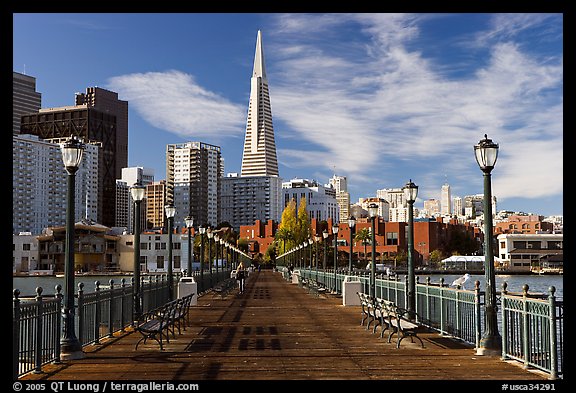 Pier 7 and Transamerica Pyramid, morning. San Francisco, California, USA