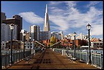 Pier 7 and Transamerica Pyramid, morning. San Francisco, California, USA (color)