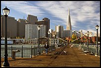 Pier seven and skyline, morning. San Francisco, California, USA