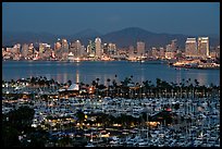 Marina and skyline at night. San Diego, California, USA