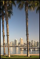 Skyline framed by palm trees from Coronado. San Diego, California, USA (color)