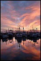 Fishing fleet at sunset. San Diego, California, USA ( color)