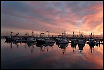 Fishing boats at sunset. San Diego, California, USA