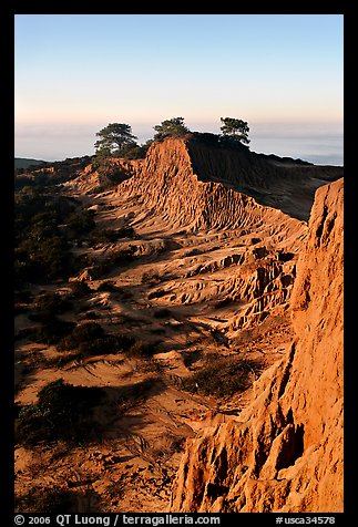 Steep weathered sandstone cliffs, Torrey Pines State Preserve. La Jolla, San Diego, California, USA