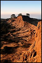 Steep weathered sandstone cliffs, Torrey Pines State Preserve. La Jolla, San Diego, California, USA ( color)