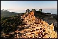 Eroded sandstone cliffs of Broken Hill,  Torrey Pines State Preserve. La Jolla, San Diego, California, USA ( color)