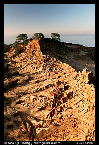 Eroded sandstone promontory,  Torrey Pines State Preserve. La Jolla, San Diego, California, USA