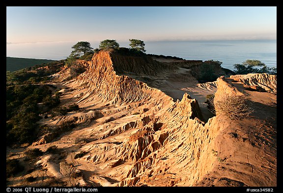 Broken Hill and Ocean,  Torrey Pines State Preserve. La Jolla, San Diego, California, USA