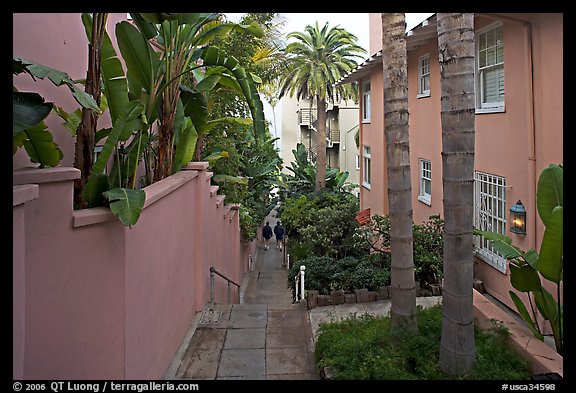 Narrow Alley. La Jolla, San Diego, California, USA