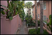 Narrow Alley. La Jolla, San Diego, California, USA ( color)