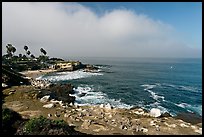 San Jolla Cove and seabirds. La Jolla, San Diego, California, USA