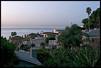 Villas and mediterranean vegetation at dawn. Laguna Beach, Orange County, California, USA