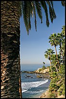 Beach and palm trees in Heisler Park. Laguna Beach, Orange County, California, USA (color)