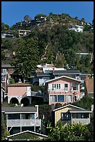 Houses on verdant hillside. Laguna Beach, Orange County, California, USA (color)