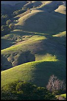 Emerald hills. California, USA (color)