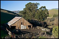 Barn and cattle-raising area. California, USA (color)