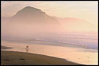 Couple and dog reflected in wet sand, with Morro Rock behind, sunset. Morro Bay, USA