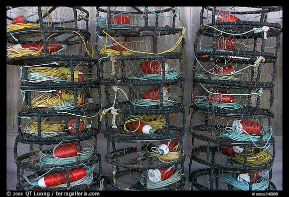 Crab traps. Morro Bay, USA