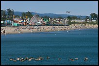 Pelicans, beach, and amusement park. Santa Cruz, California, USA ( color)
