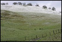 Hills with top covered with fresh snow, Mount Hamilton Range foothills. San Jose, California, USA ( color)