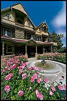 Roses and facade. Winchester Mystery House, San Jose, California, USA (color)