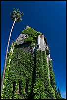 Ivy-covered Tower Hall, San Jose State University. San Jose, California, USA (color)