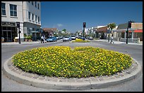 Flower circle, Castro Street, Mountain View. California, USA