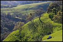 Couple sitting on hillside in early spring, Sunol Regional Park. California, USA ( color)