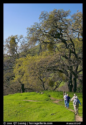 Group of hikers on faint trail, Sunol Regional Park. California, USA (color)