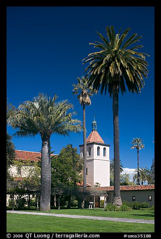 Palm trees and mission, Santa Clara University. Santa Clara,  California, USA