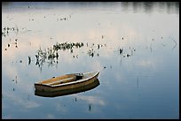 Rowboat in Lake Lagunata. Stanford University, California, USA (color)