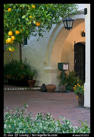 Orange tree and arch, Allied Arts Guild. Menlo Park,  California, USA (color)
