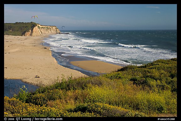 Beach with waves and kites, Scott Creek Beach. California, USA