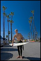 Surfer and palm trees. Venice, Los Angeles, California, USA ( color)