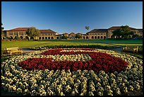 Stanford University S logo in flowers and main Quad. Stanford University, California, USA