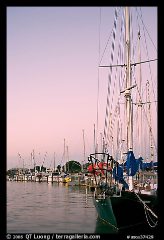 Yachts, sunset. Redwood City,  California, USA (color)