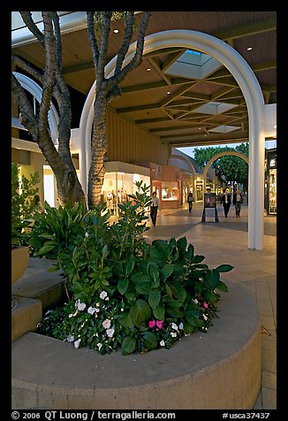 Flowers and arches, Stanford Shopping Mall, dusk. Stanford University, California, USA (color)