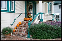 House entrance with pumpkins. Half Moon Bay, California, USA ( color)