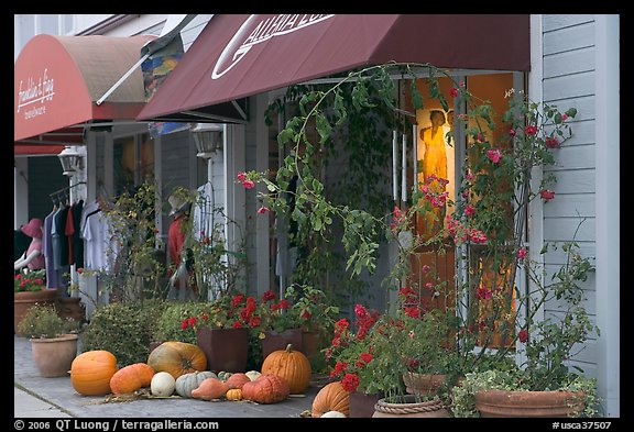 Storefronts decorated with large pumpkins. Half Moon Bay, California, USA (color)