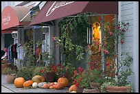 Storefronts decorated with large pumpkins. Half Moon Bay, California, USA ( color)