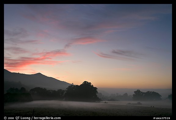 Foggy pasture at sunset near La Honda Road. San Mateo County, California, USA