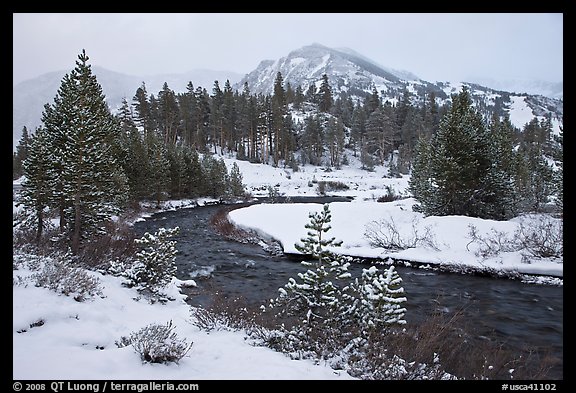 Creek, trees, and mountains with fresh snow. California, USA (color)