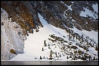 Sunlit Slope with snow, Ellery Lake. California, USA ( color)