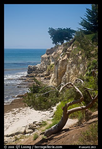 Coastal bluff. Santa Barbara, California, USA