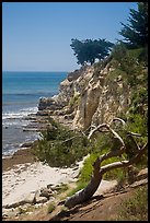 Coastal bluff. Santa Barbara, California, USA ( color)